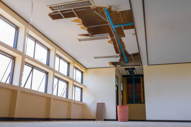 Best Mold removal after water damage  in Inverness, CA