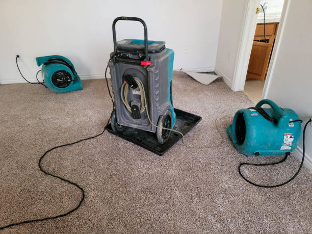 Best 24-hour water damage restoration  in Inverness, CA