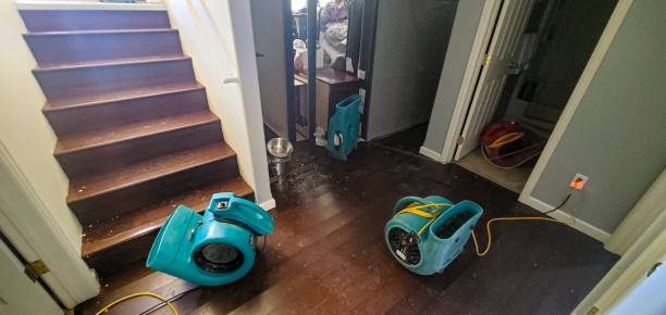Best Water damage contractors near me  in Inverness, CA