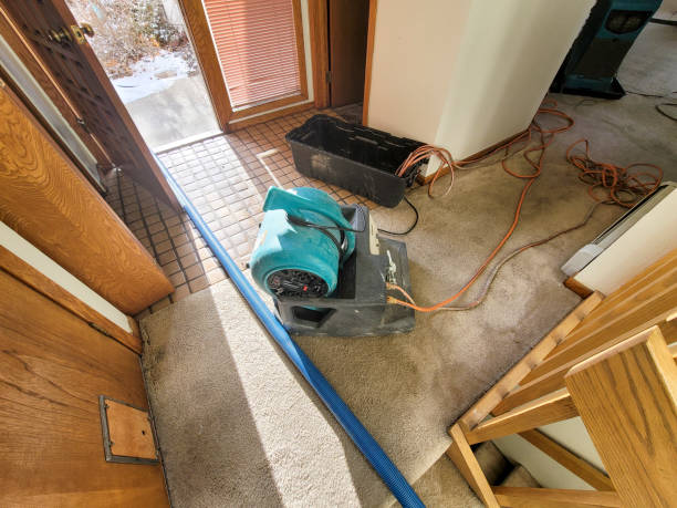 Best Fire Damage Restoration  in Inverness, CA