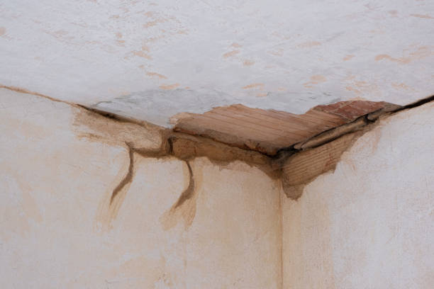 Best Flood damage cleanup  in Inverness, CA