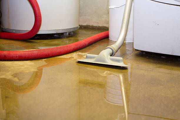 Best Fire Damage Restoration  in Inverness, CA