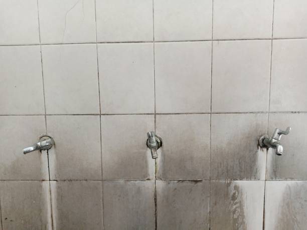Best Carpet water damage restoration  in Inverness, CA