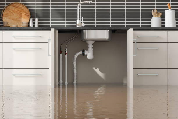 Best Professional water damage repair  in Inverness, CA